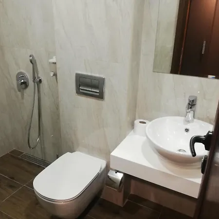 Hotel Ponti Widin