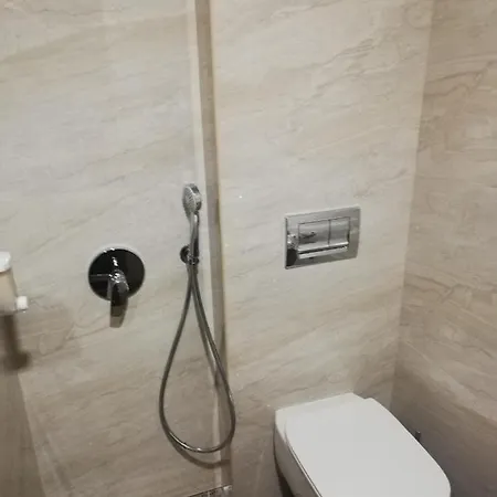 Ponti 2* Vidin