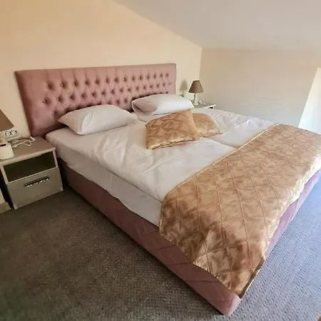 Hotel Ponti Widin