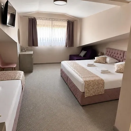 Hotel Ponti Widin